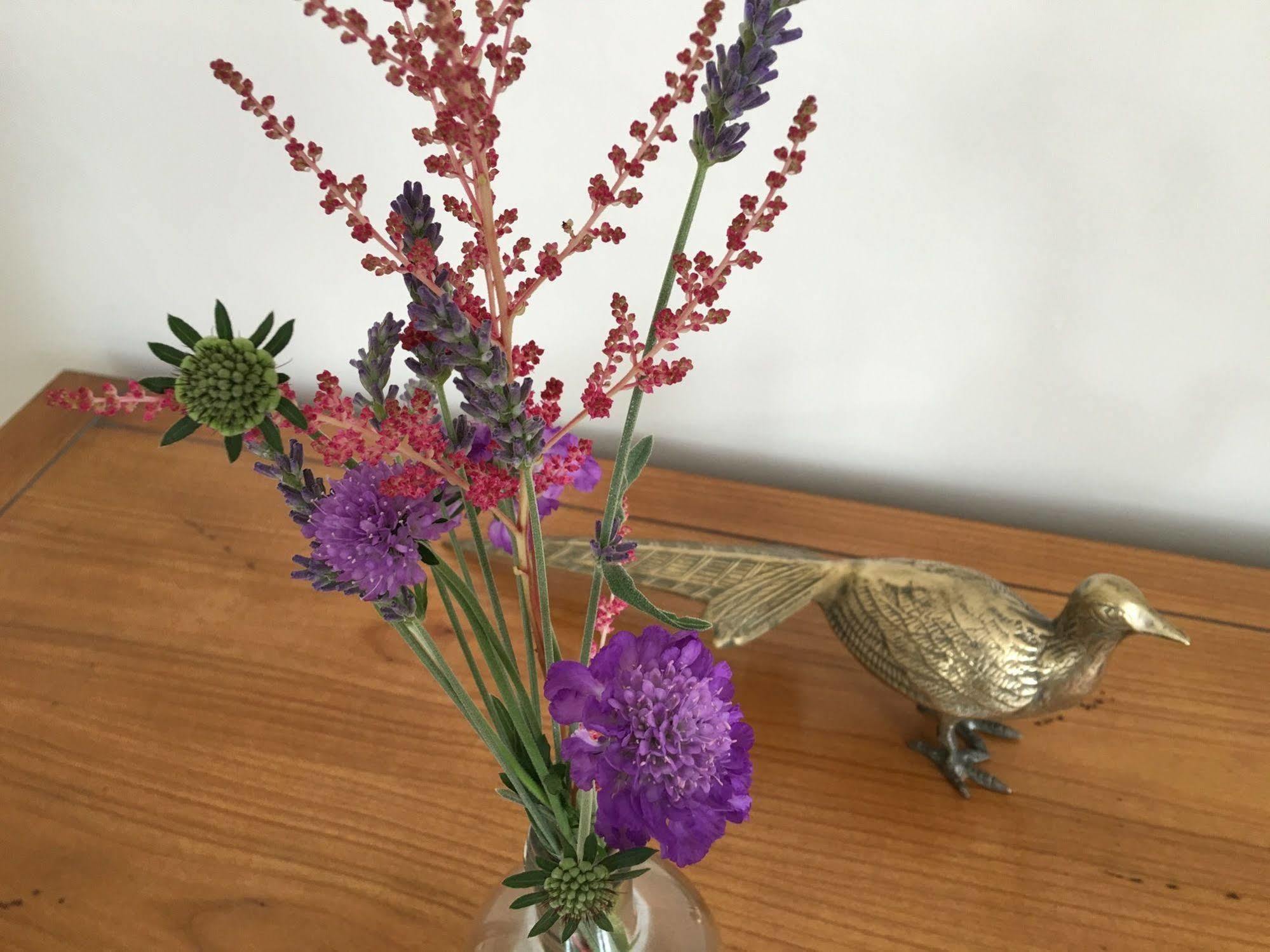 Firhall Highland B&B Grantown-on-Spey ภายนอก รูปภาพ